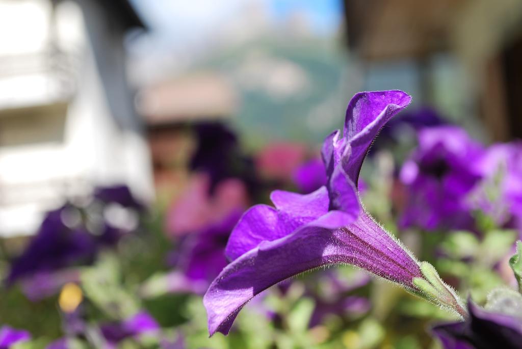 Villa L'Aida カナツェーイ エクステリア 写真